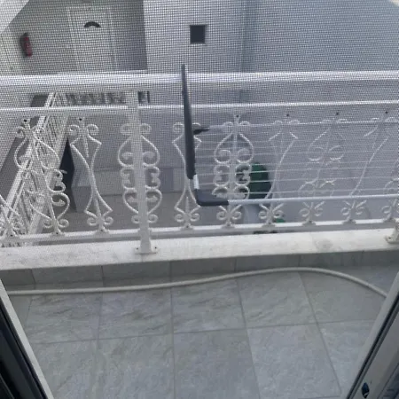 Theodora * 弗洛伊塔